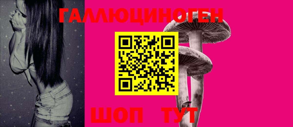 Псилоцибиновые грибы Magic Shrooms  Вход с VPN  Махачкала  Псилоцибиновые грибы GOLDEN TEACHER 